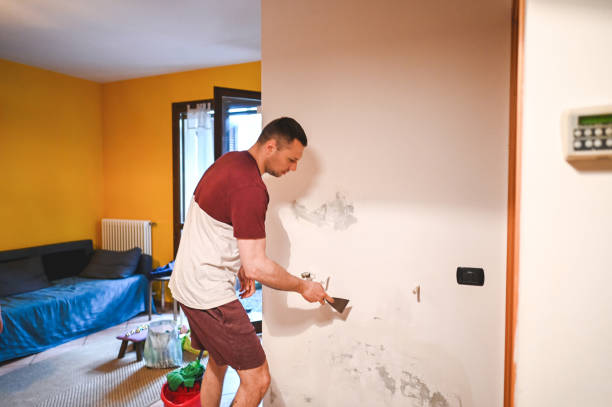 Best Black Mold Removal  in Wilson, AR